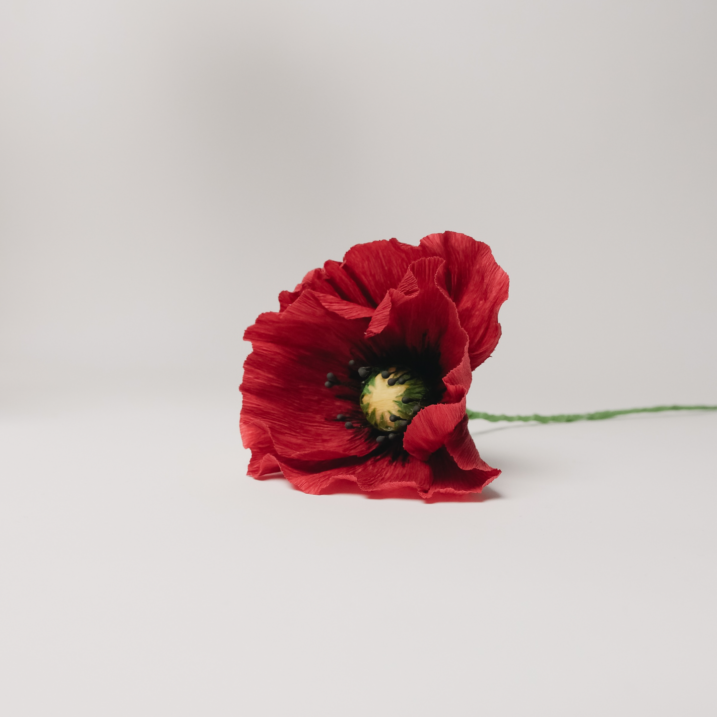 Poppy Paper Flower