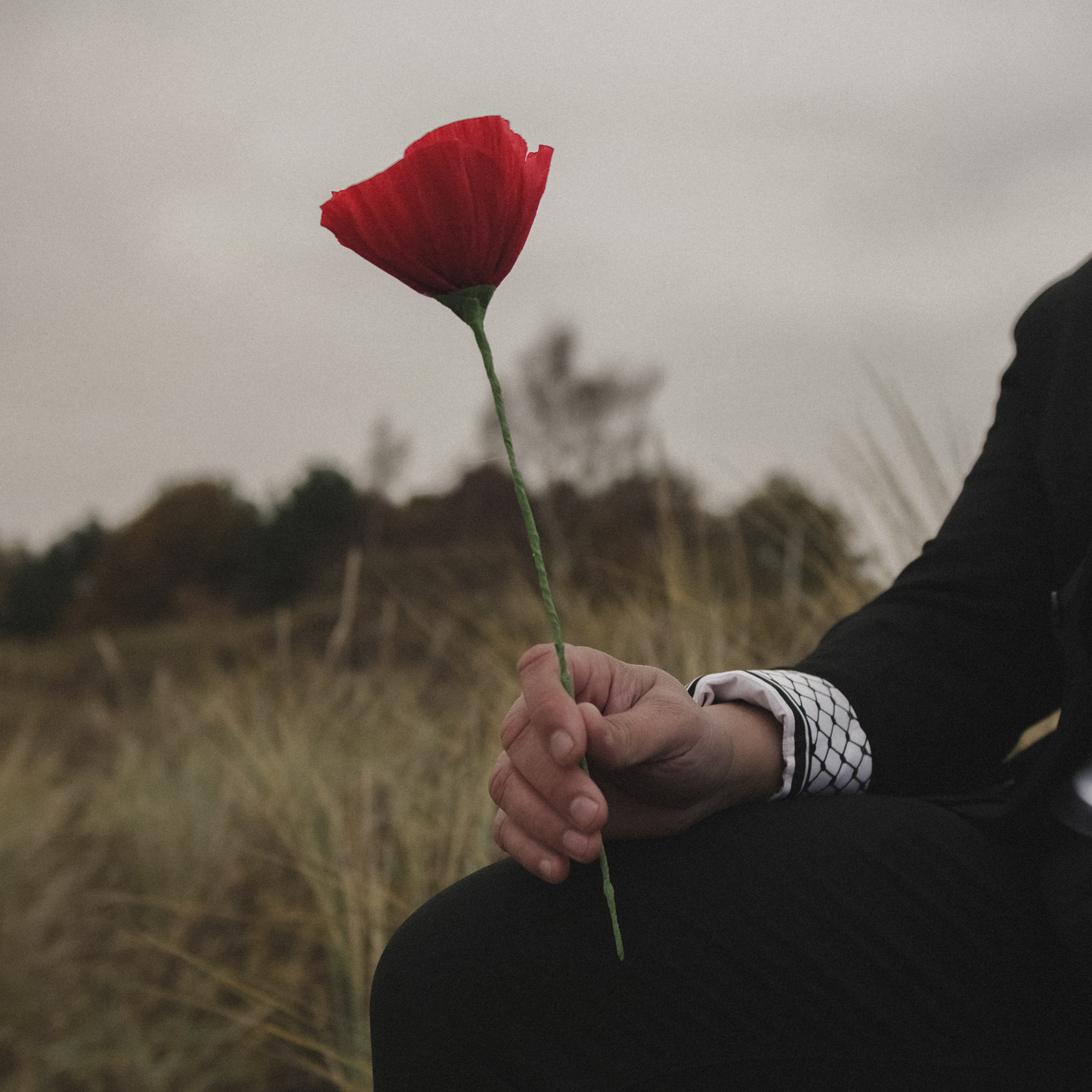 Poppy Paper Flower